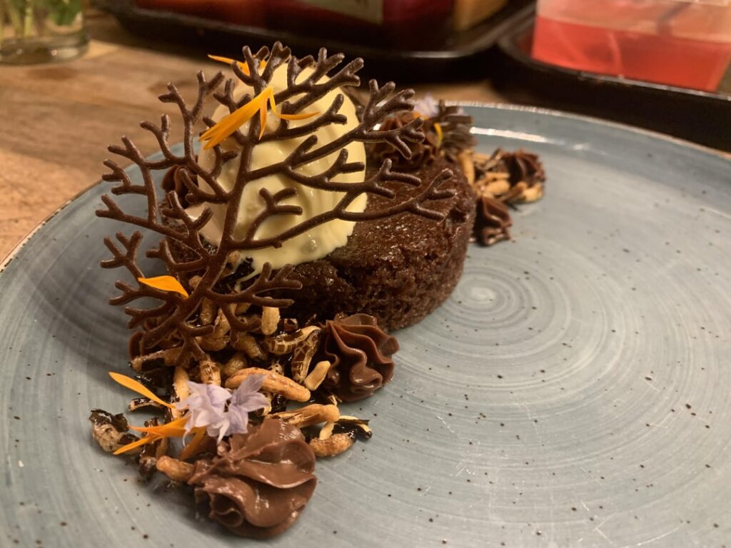 Duck fat chocolate cake, chocolate cremeux, puffed wild rice, toasted Koji ice cream