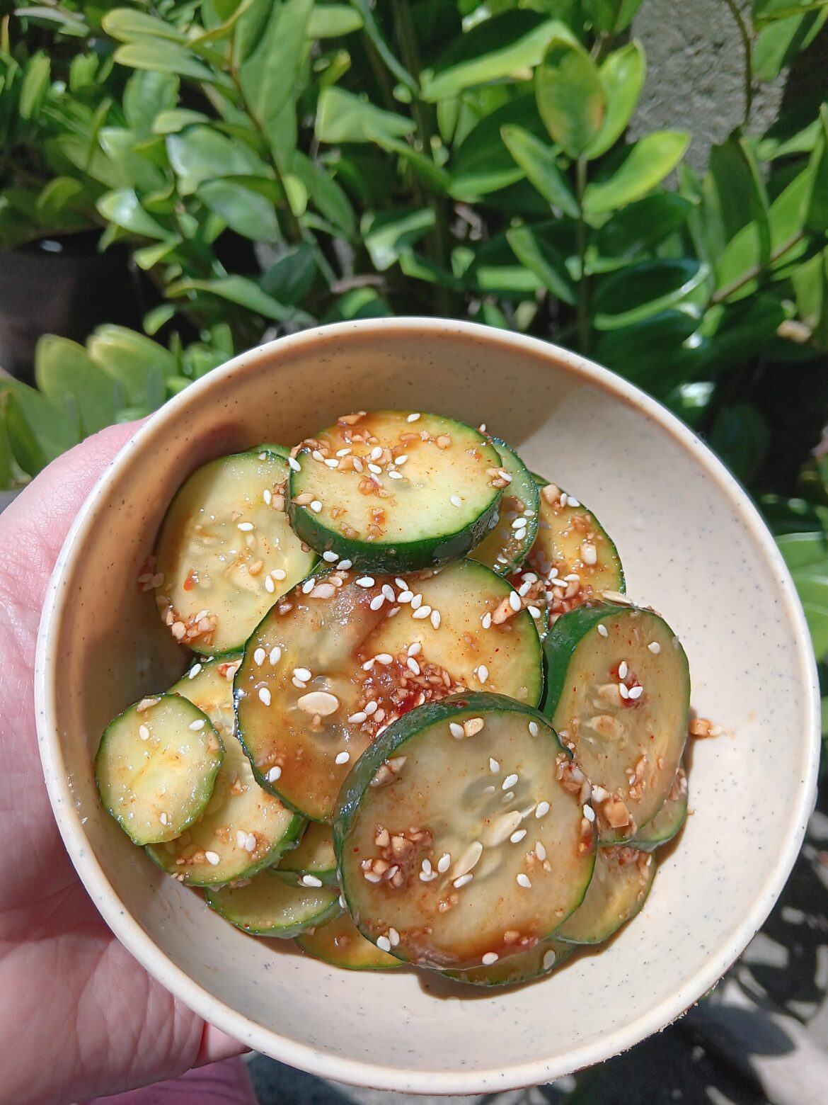 Cucumber Salad