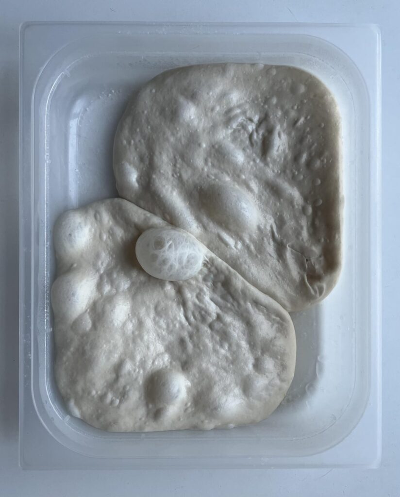 Outcome of my try. As requested Im posting pictures here. Pizza was very digestive, a bit sourish as I wanted. More info in comments