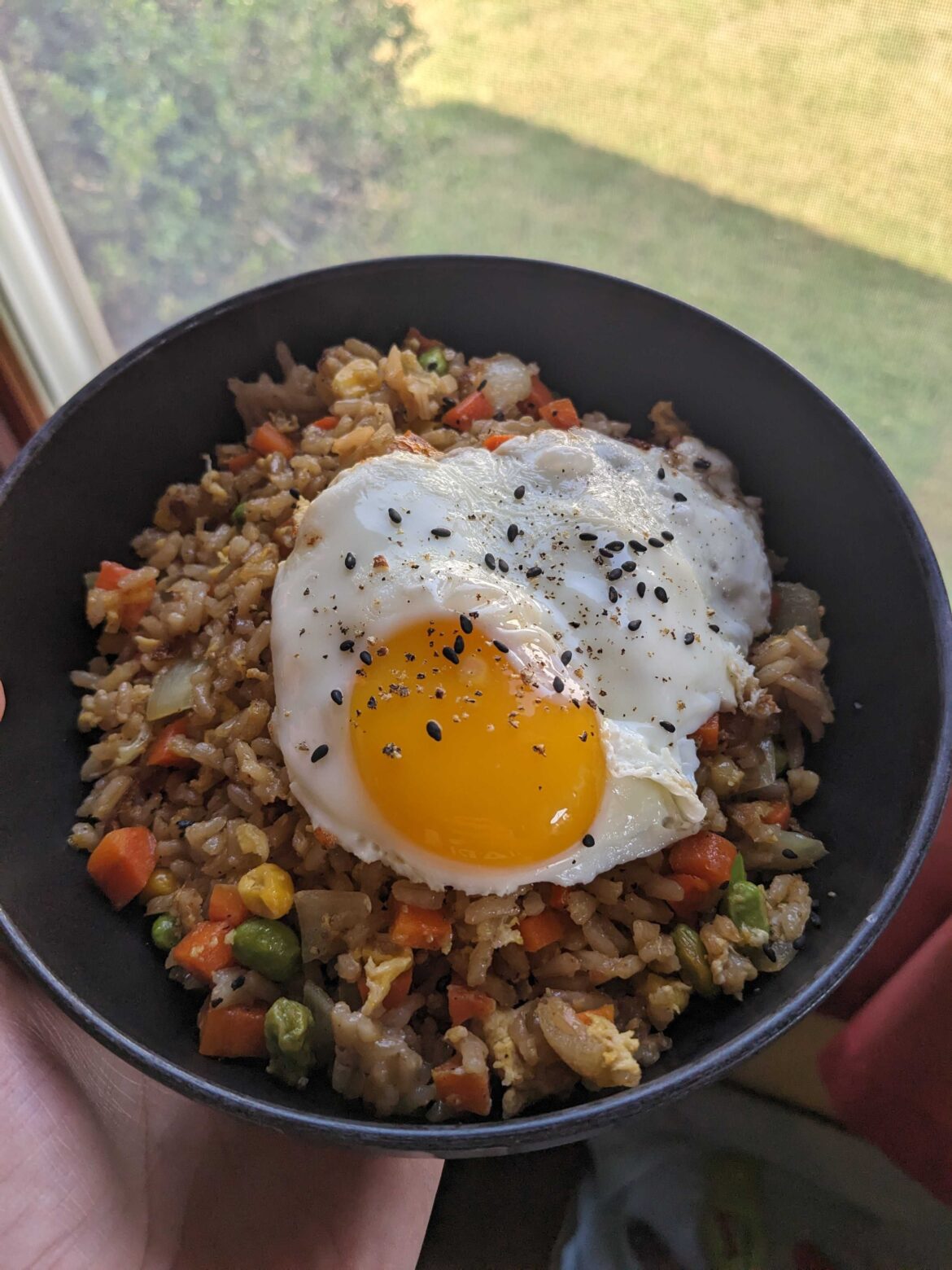 Home Made Fried Rice