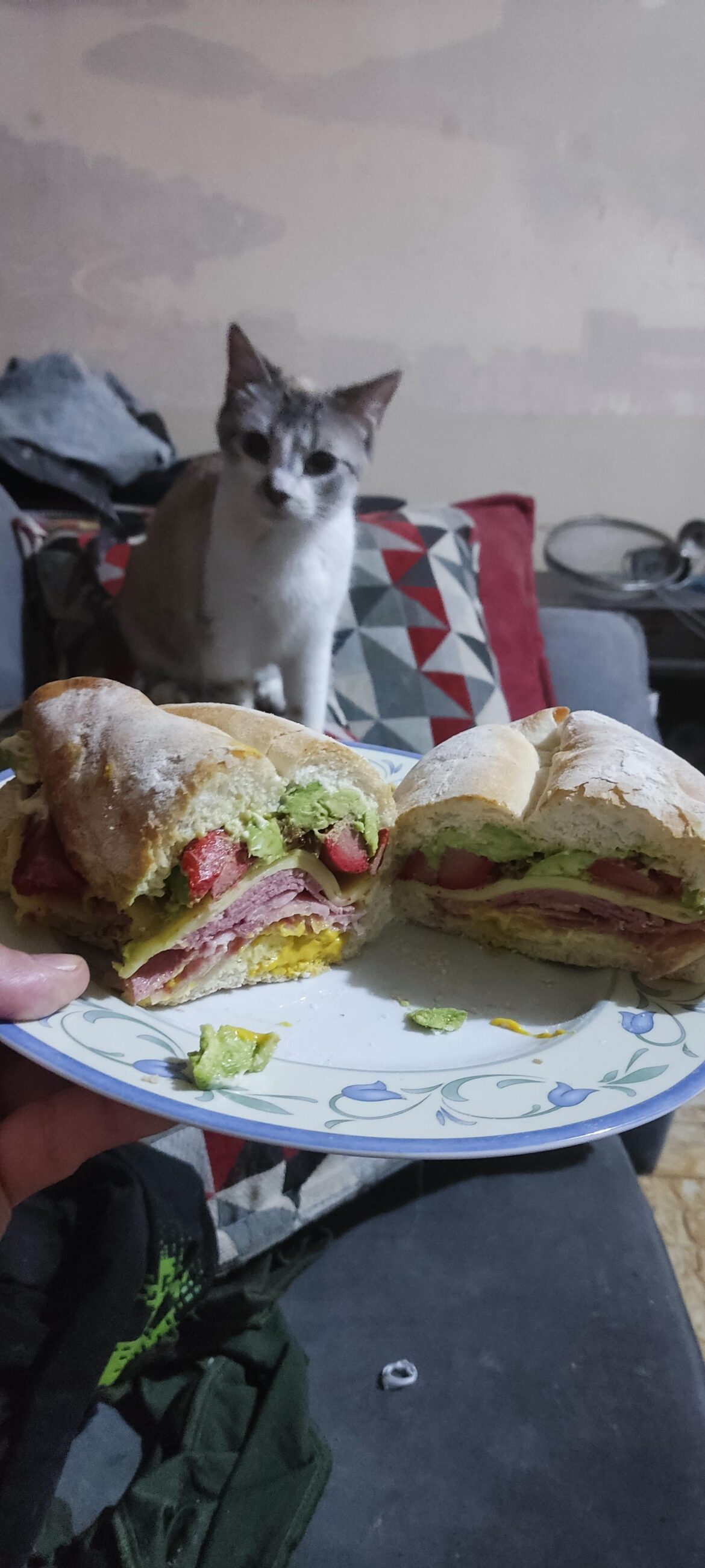 Sandwich with my cat