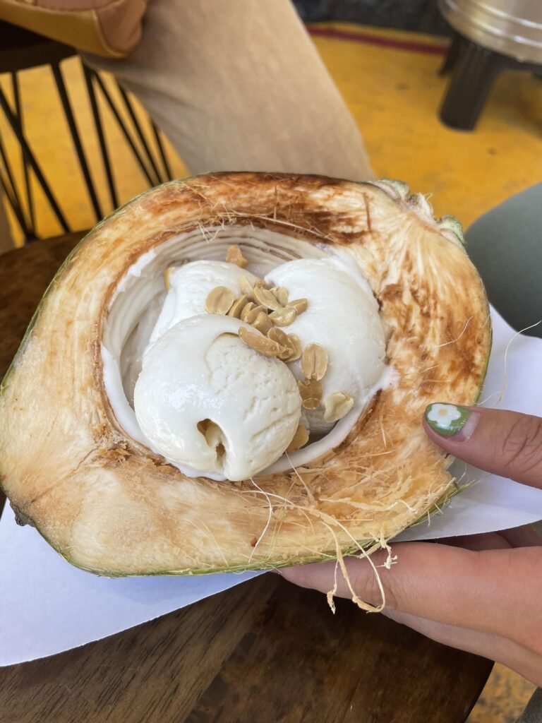 Coconut ice cream and fresh coconut water in Thailand