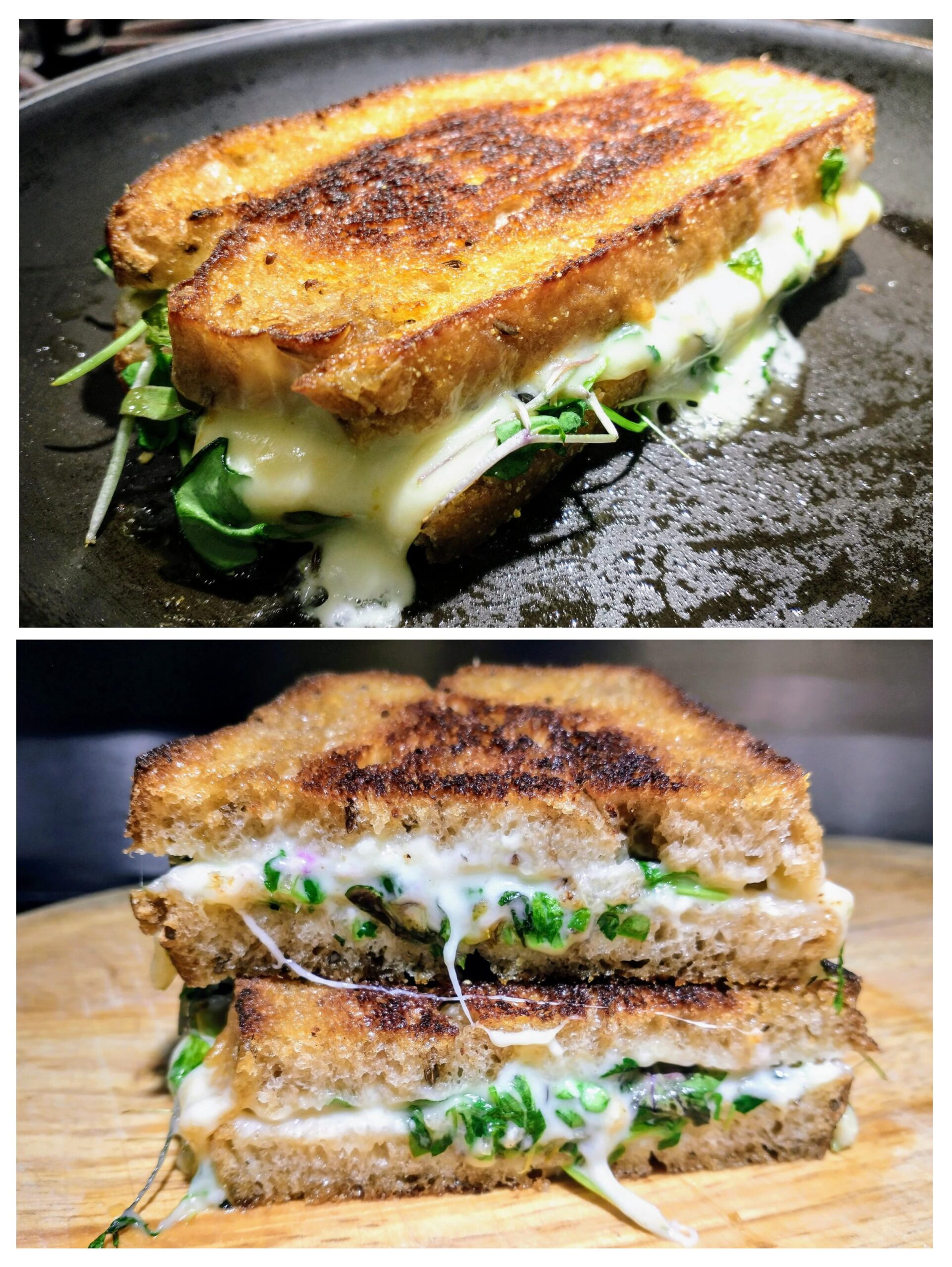 Homemade Grilled Cheese Sandwich Emmental Cheese, Chandoka Cheese, Gruyère Cheese, and