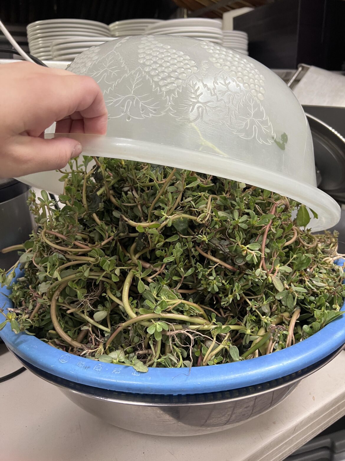 I was dishes at a Korean restaurant. What are they making with this?