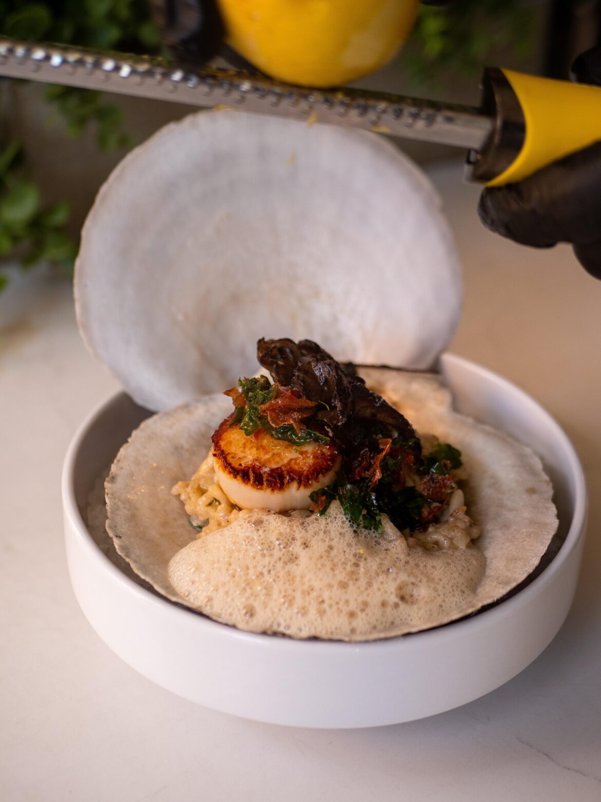 Scallop with roe risotto, black garlic maitake, prosciutto foam.