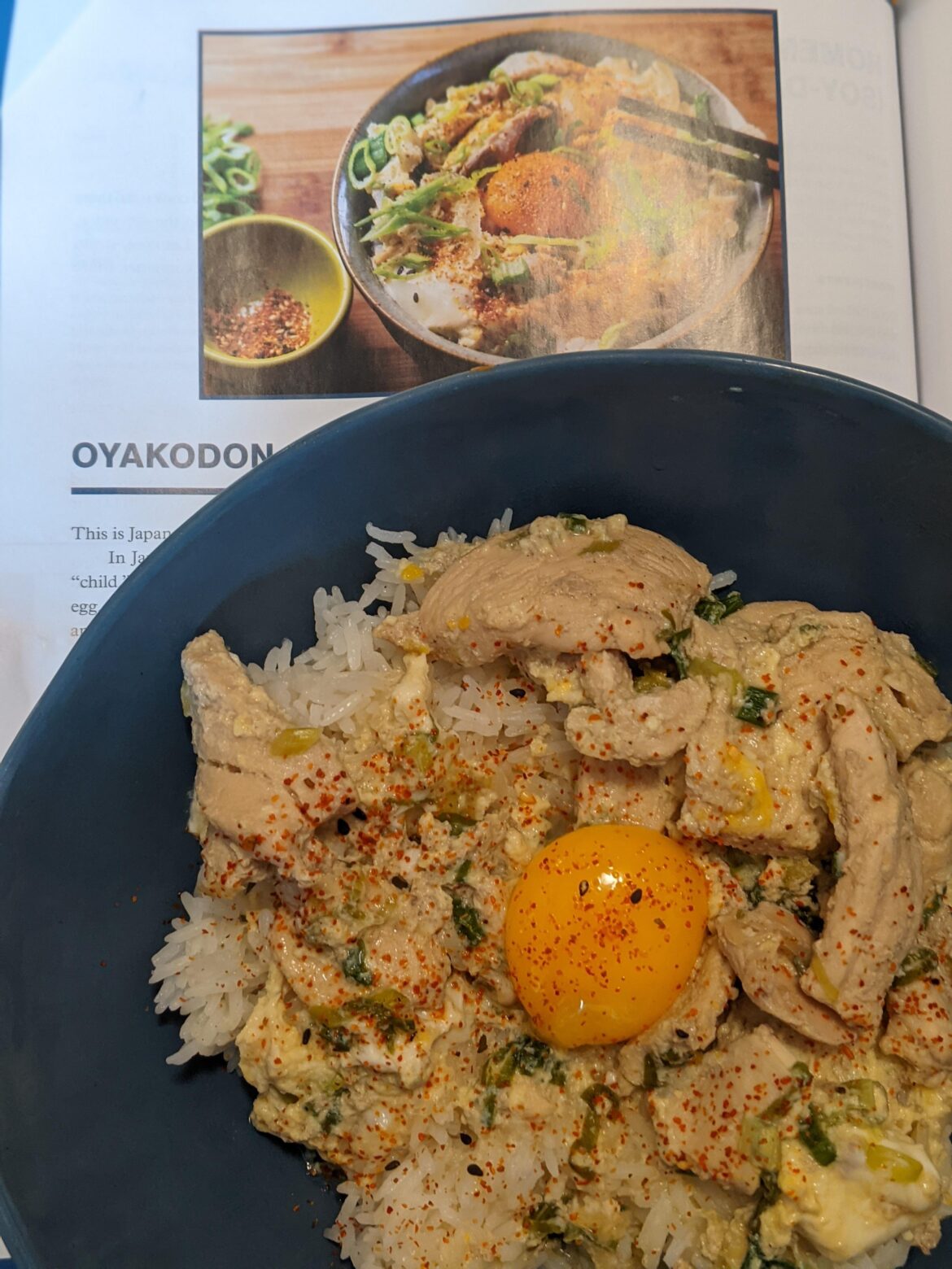 The Wok Weekly #54: Oyakodon