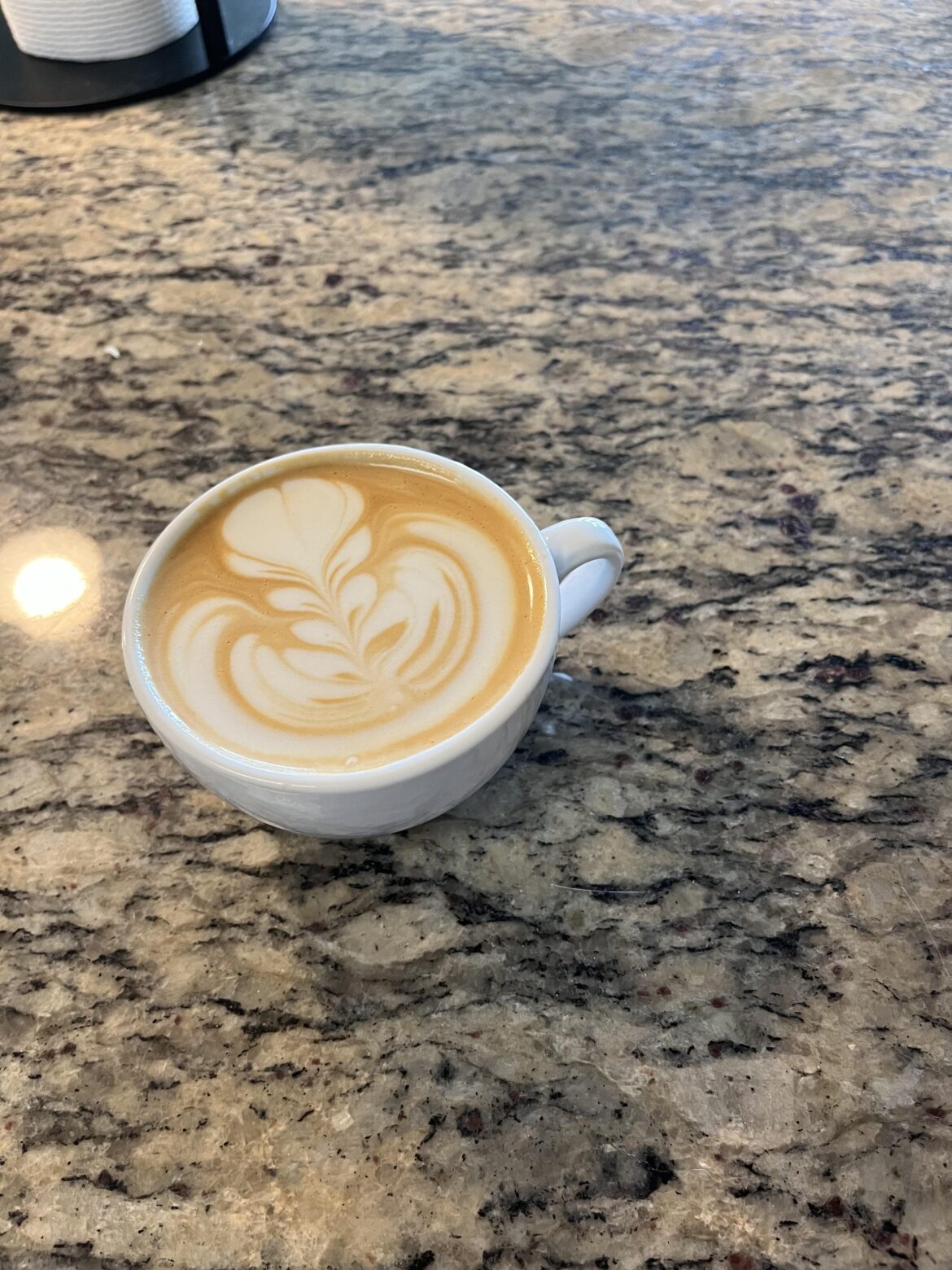 Alt-Milk Champions, try Aldi oat milk sometime. It’s the best steaming and tasting oat milk I’ve tried for a quarter of the price of barista blends