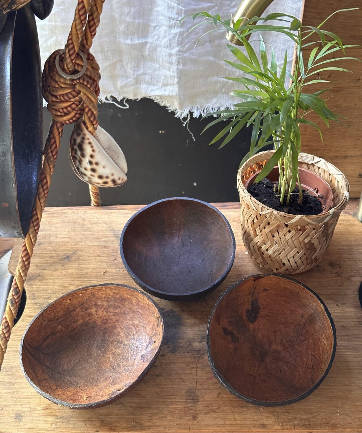 If you could only eat 3 things, what would they be? And why?