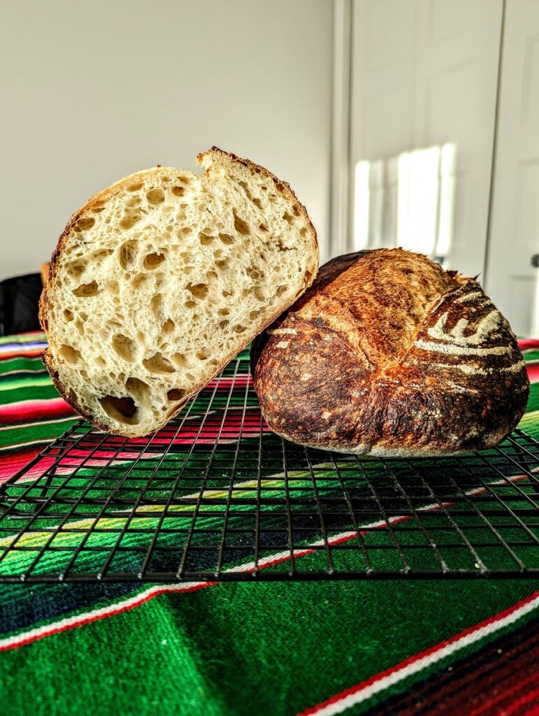 Basic 100% bread flour