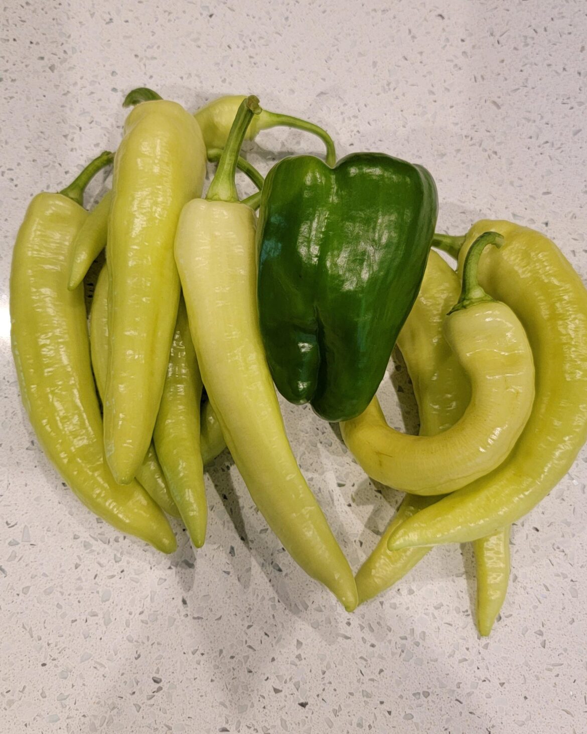 My banana peppers!!!!