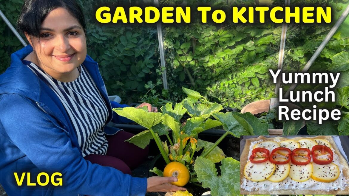 இந்த ஆண்டின் முதல் அறுவடை / GARDEN TO KITCHEN – Ep1 / Vegetable Gardening ideas #gardeninlondon இந்த ஆண்டின் முதல் அறுவடை / GARDEN TO KITCHEN - Ep1 / Vegetable Gardening ideas #gardeninlondon