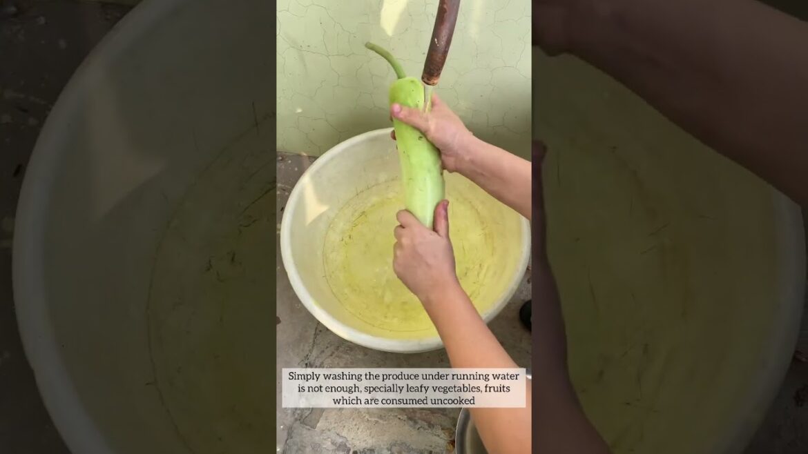 Fruit & Veggie Wash to make market bought products safer to consume