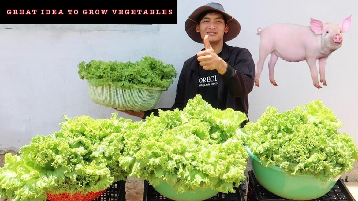 Only cost 1$ and 15 days I had a vegetable garden for 1 week.  great idea to grow vegetables