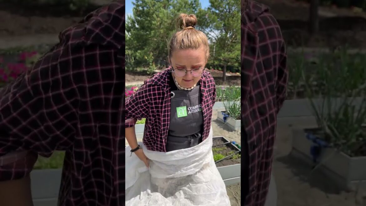 Чтобы салат не был горьким! #семенаалтая #дача