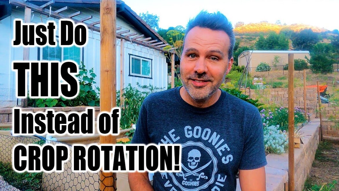 Do you NEED to Rotate Your Crops? Do you NEED to Rotate Your Crops?