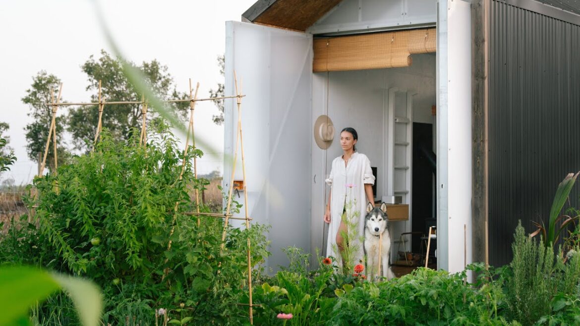 Tour My Off Grid Cabin & Vegetable Garden