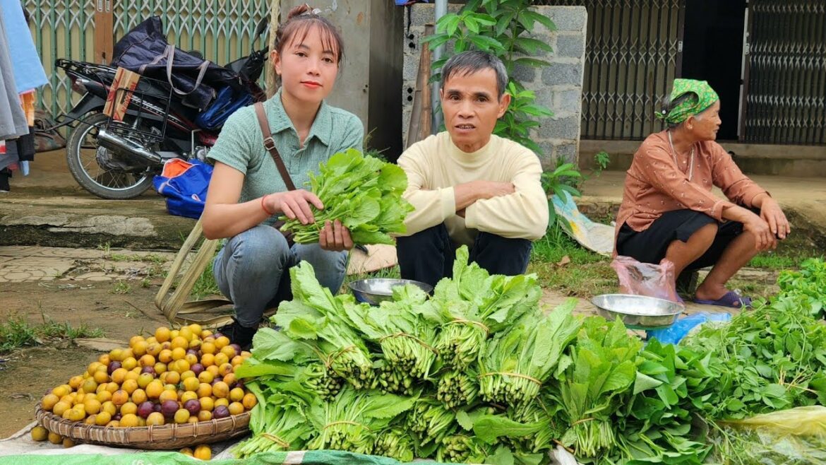 Harvest Dad's Plums & Vegetable Garden Go to the Market to Sell - Making garden Corn, Lý Thị Ninh