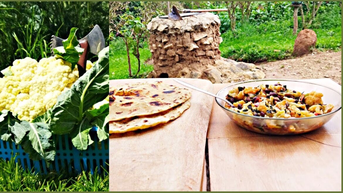 Cooking Delicious Cauliflower Dish!! Mold weeding a vegetable garden