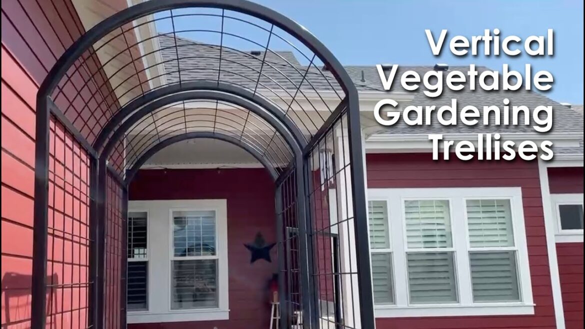 Trellises for Vertical Vegetable Gardening