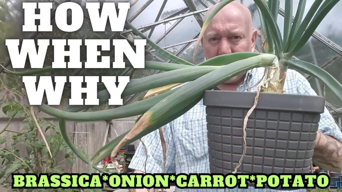 Gardening Tips [Gardening Allotment UK] [Grow Vegetables At Home ]