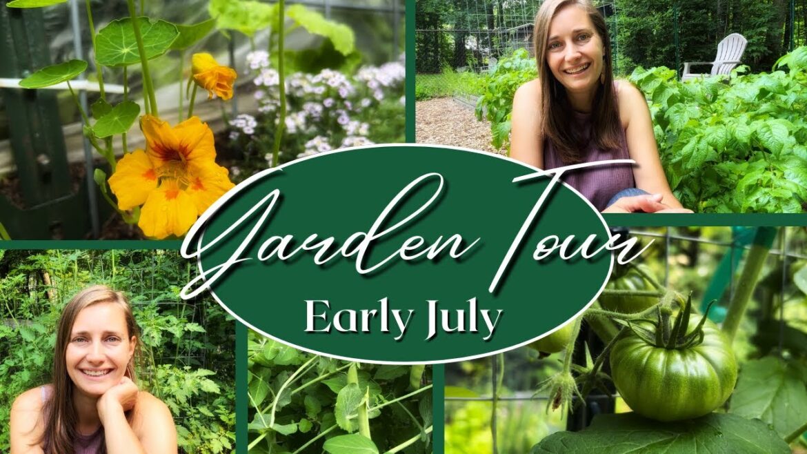 Full Vegetable Garden Tour | 2023 Tour #6 | Early July Full Vegetable Garden Tour | 2023 Tour #6 | Early July