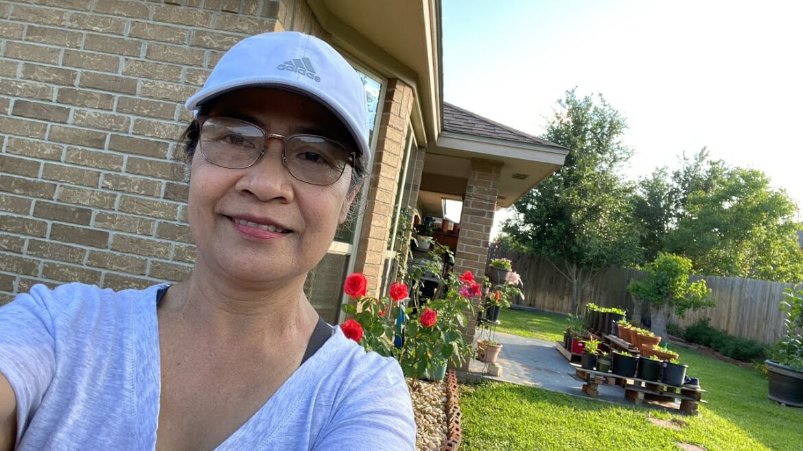 Backyard Improvement and Vegetable Garden #backyardgarden #vegetablegarden #backyardlandscaping