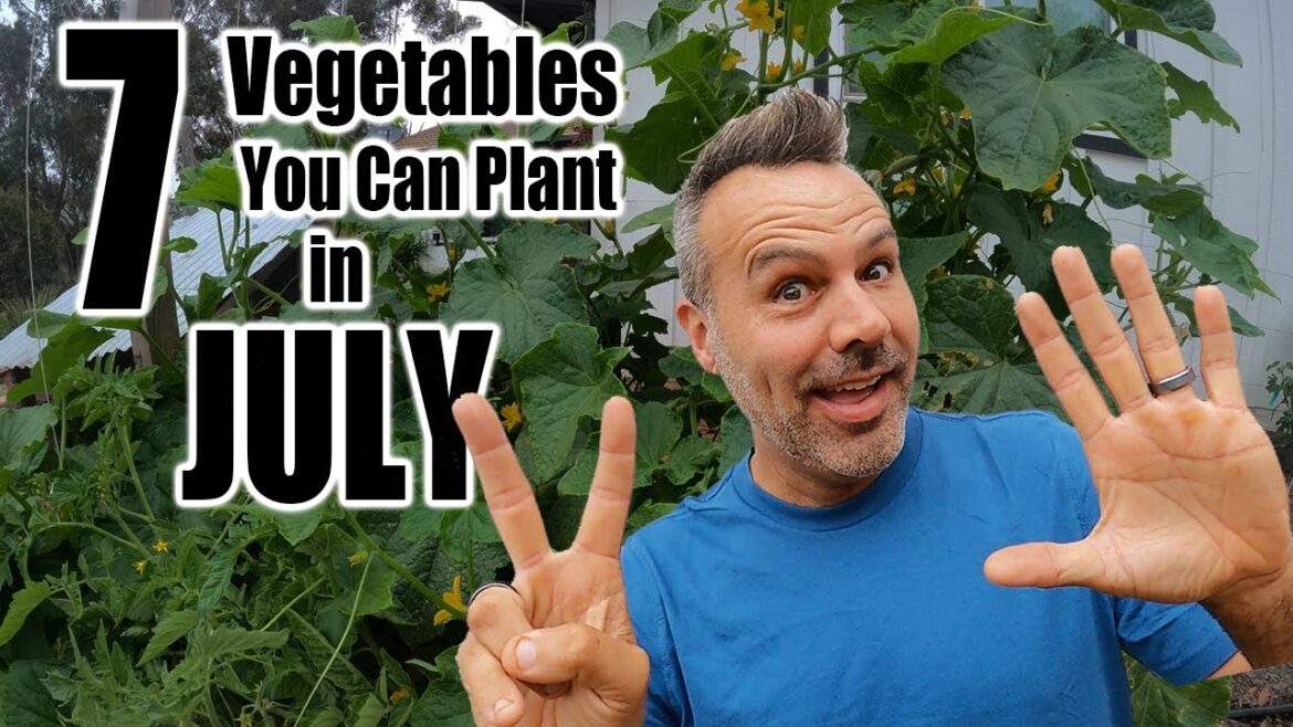7 Vegetables You Can Plant NOW in JULY!  Planting Vegetables in the Summer