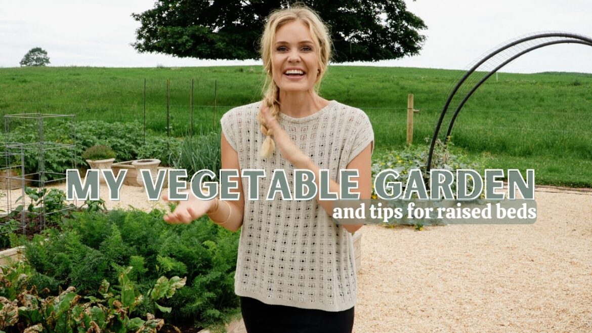 A TOUR of my BACKYARD VEGETABLE GARDEN/ tips and tricks for successful raised beds A TOUR of my BACKYARD VEGETABLE GARDEN/ tips and tricks for successful raised beds