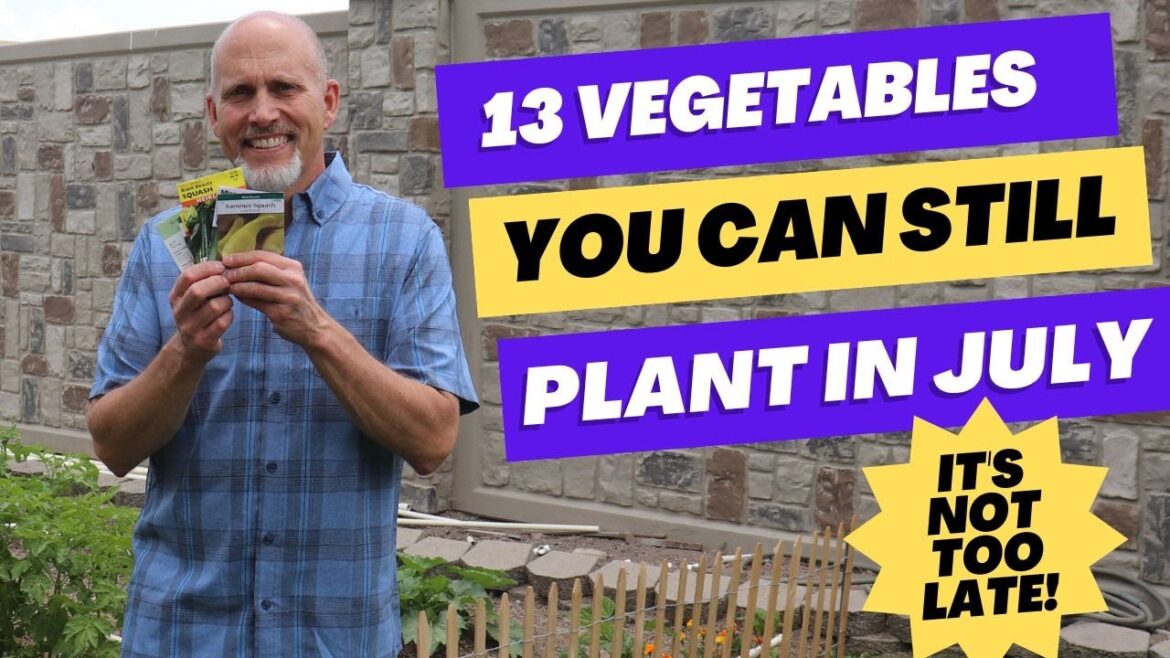 13 Vegetables you can Still Direct Seed In July – It’s Not Too Late to Plant a Garden! 13 Vegetables you can Still Direct Seed In July - It's Not Too Late to Plant a Garden!