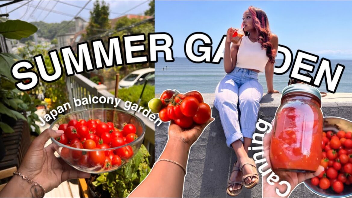 LIFE IN JAPAN SUMMER VEGETABLE GARDEN Fixing up the yard LIFE IN JAPAN SUMMER VEGETABLE GARDEN Fixing up the yard