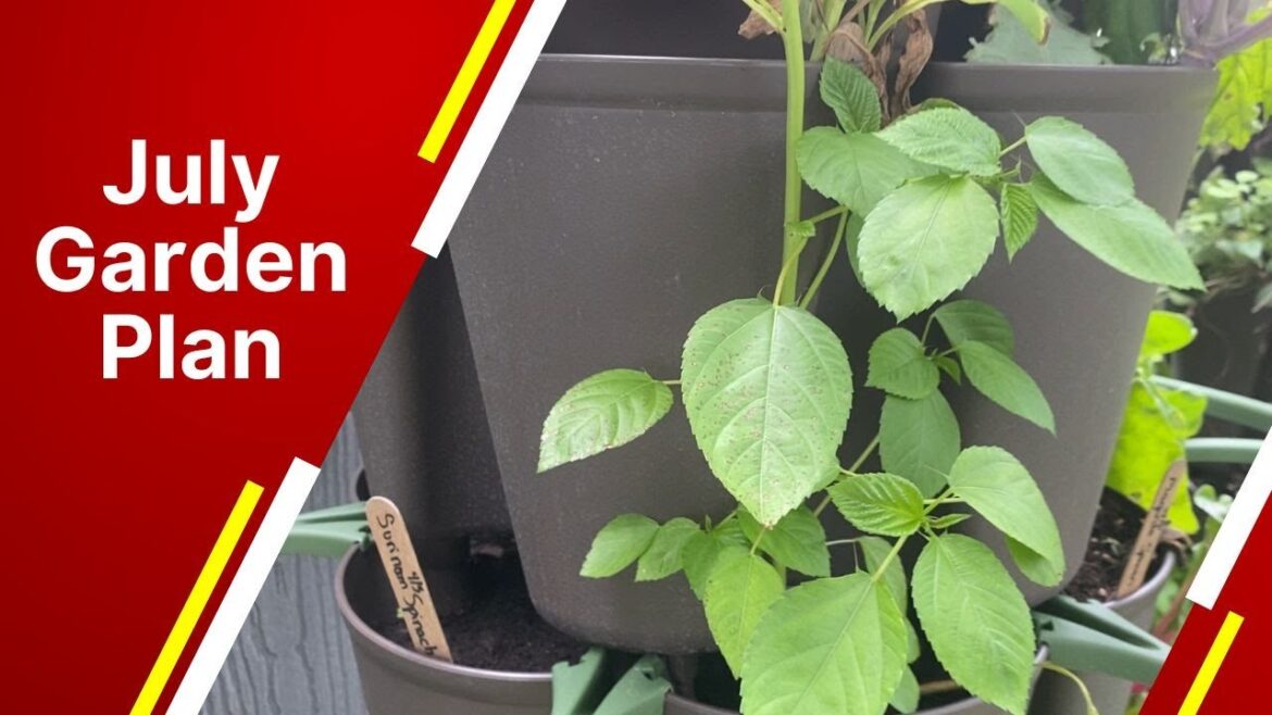 July Gardening in Florida: Top 15 Vegetables to Plant NOW July Gardening in Florida: Top 15 Vegetables to Plant NOW