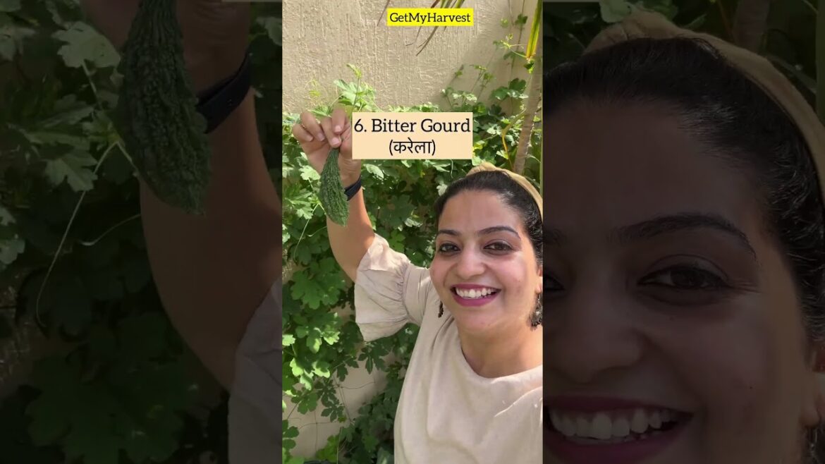 10 Vegetables to grow in June | जून में लगाये ये 10 सब्जियां #Shorts #organicfarming 10 Vegetables to grow in June | जून में लगाये ये 10 सब्जियां #Shorts #organicfarming