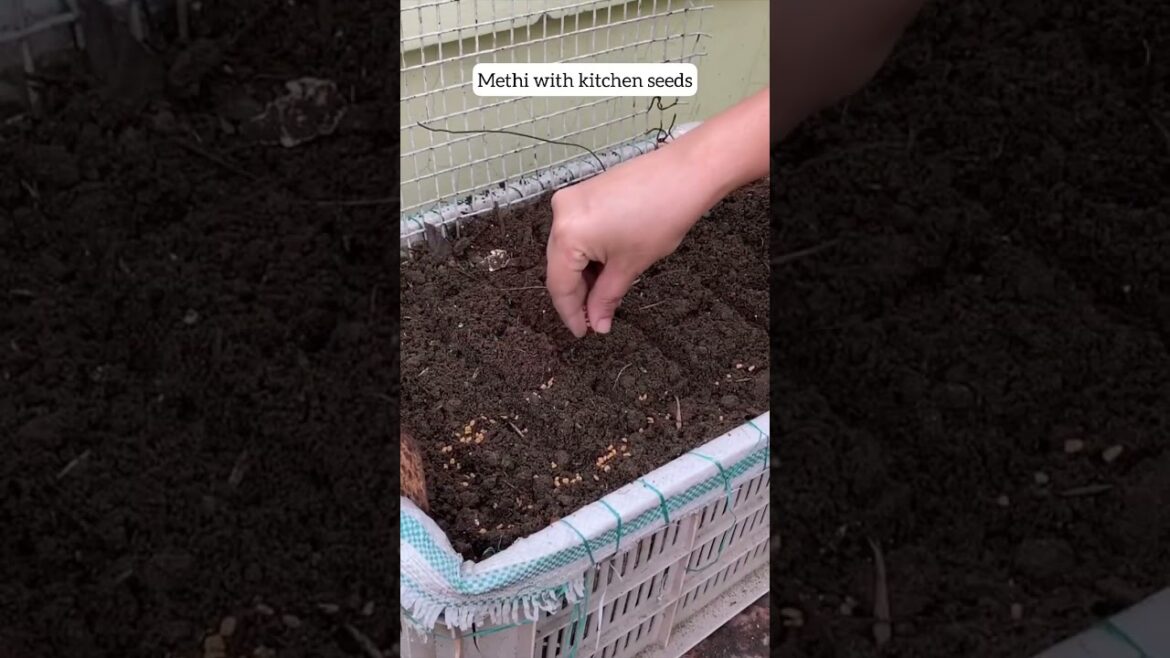 Easy winter vegetables for monsoon