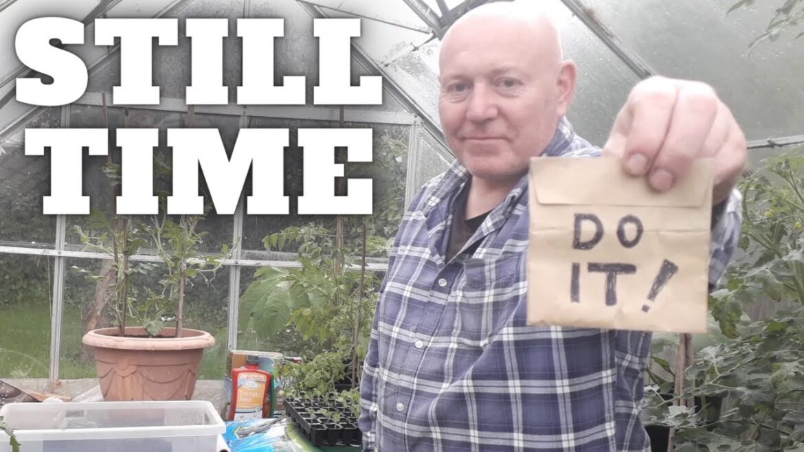 You Still Have Time [Gardening Allotment UK] [Grow Vegetables At Home ]