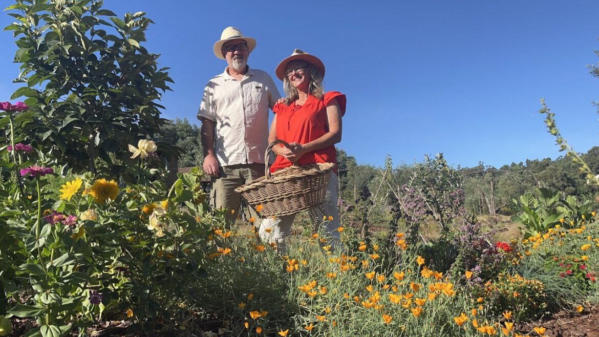 Summer Vegetable Garden Tour – 2 Year Transformation – Then and Now Summer Vegetable Garden Tour - 2 Year Transformation - Then and Now