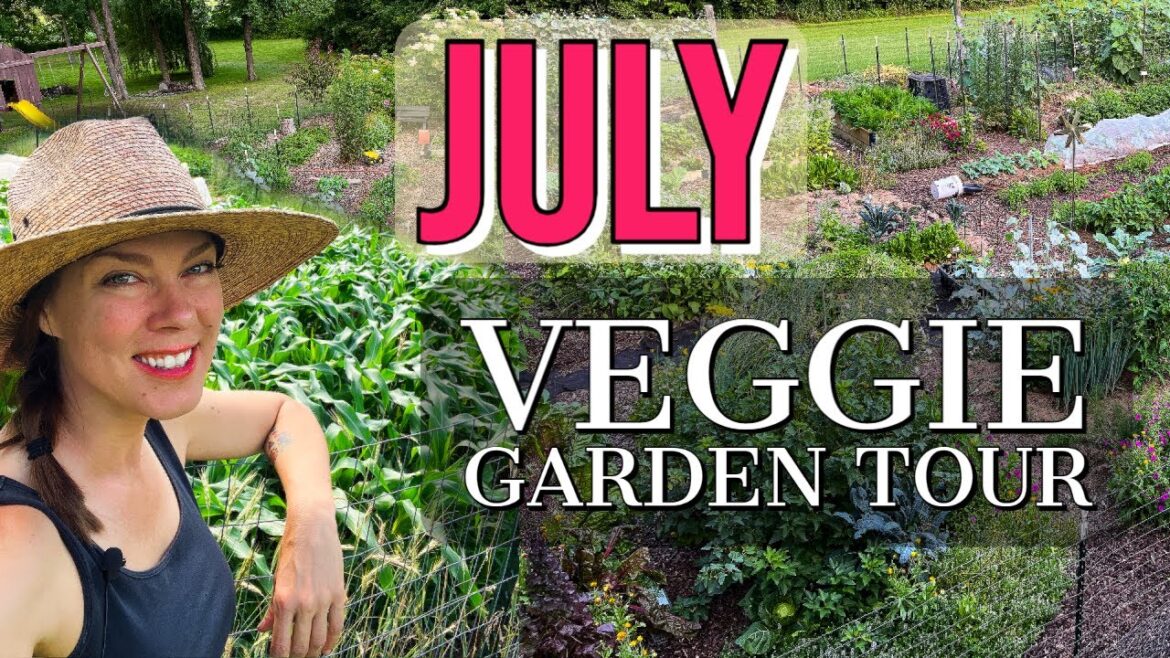 July Vegetable Garden Tour and Cleanup: Zone 6a, Ohio July Vegetable Garden Tour and Cleanup: Zone 6a, Ohio