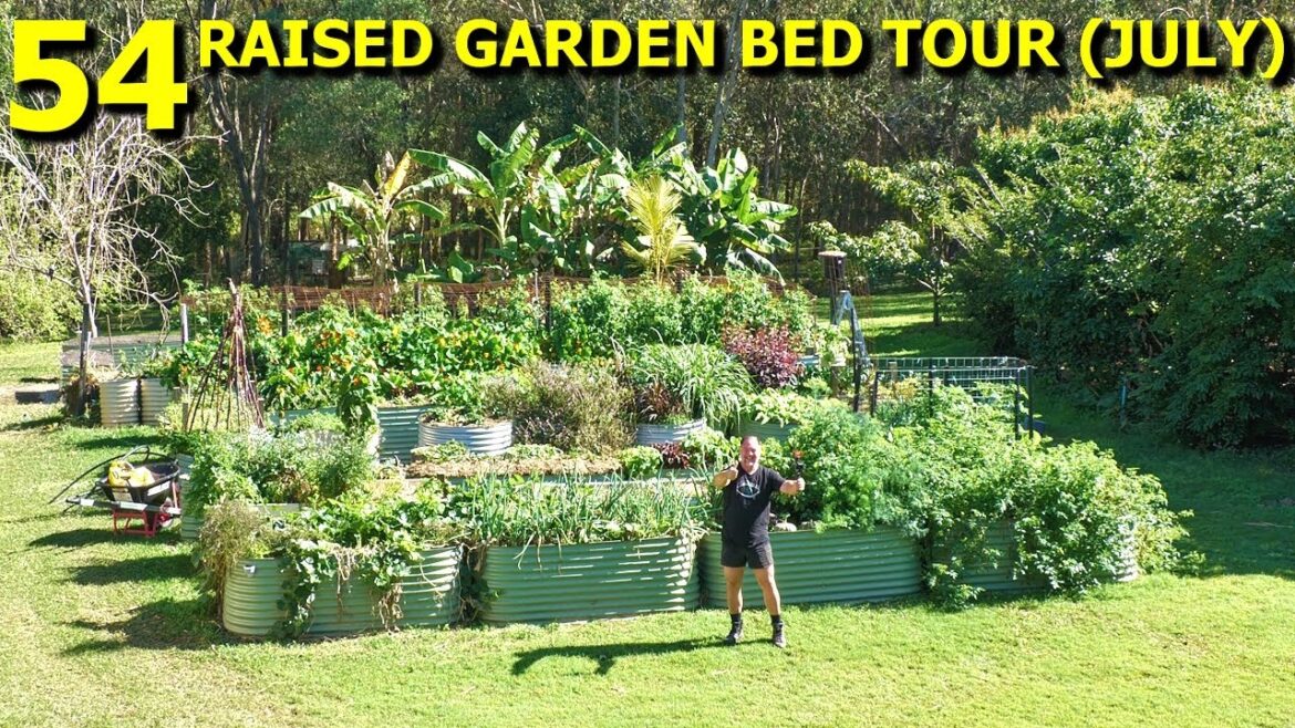 ALL 54 Raised Veggie Garden Beds Walk Around Tour (JULY) ALL 54 Raised Veggie Garden Beds Walk Around Tour (JULY)