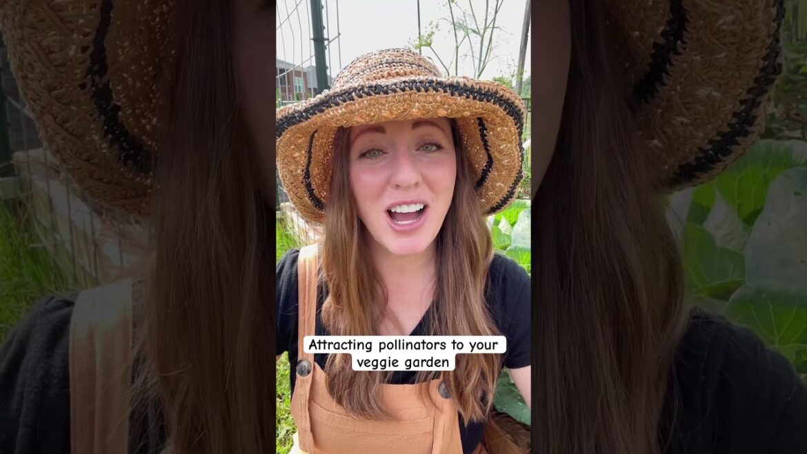 Tips for Attracting Pollinators to Your Vegetable Garden