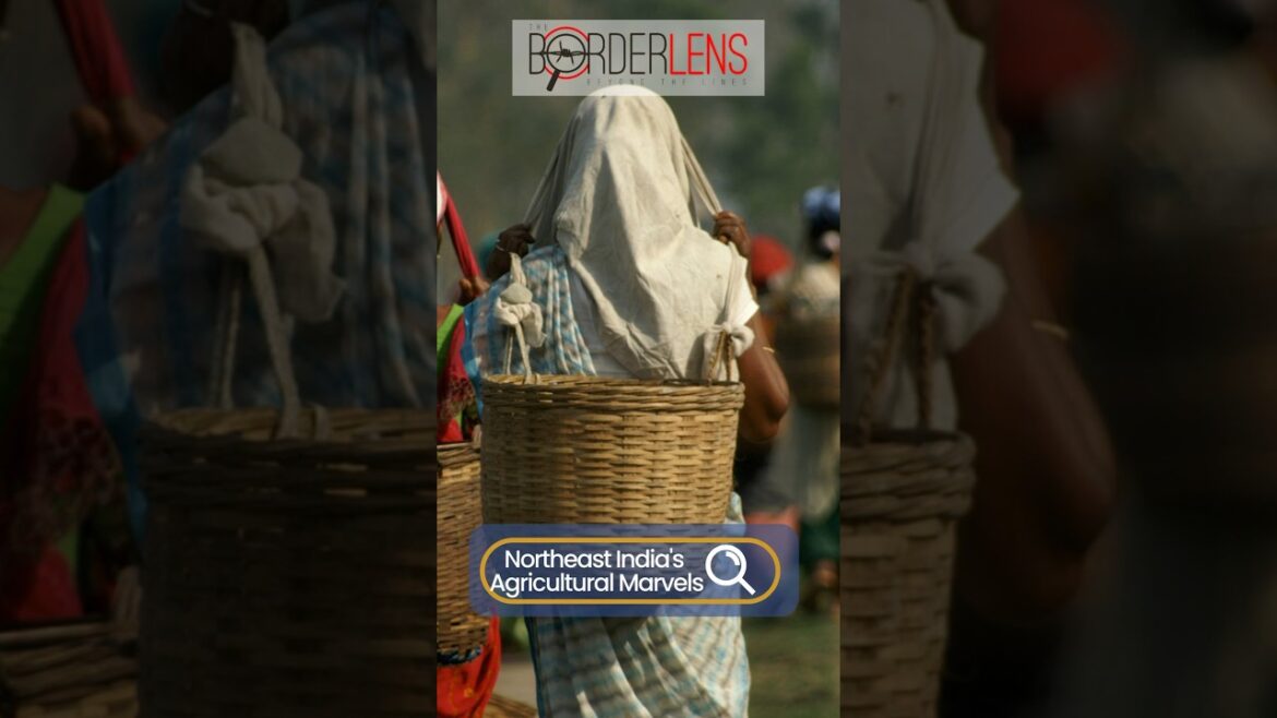 Flavorful Triumphs! Northeast’s fiery gems ignite taste buds worldwide with GI tags. Flavorful Triumphs! Northeast's fiery gems ignite taste buds worldwide with GI tags.