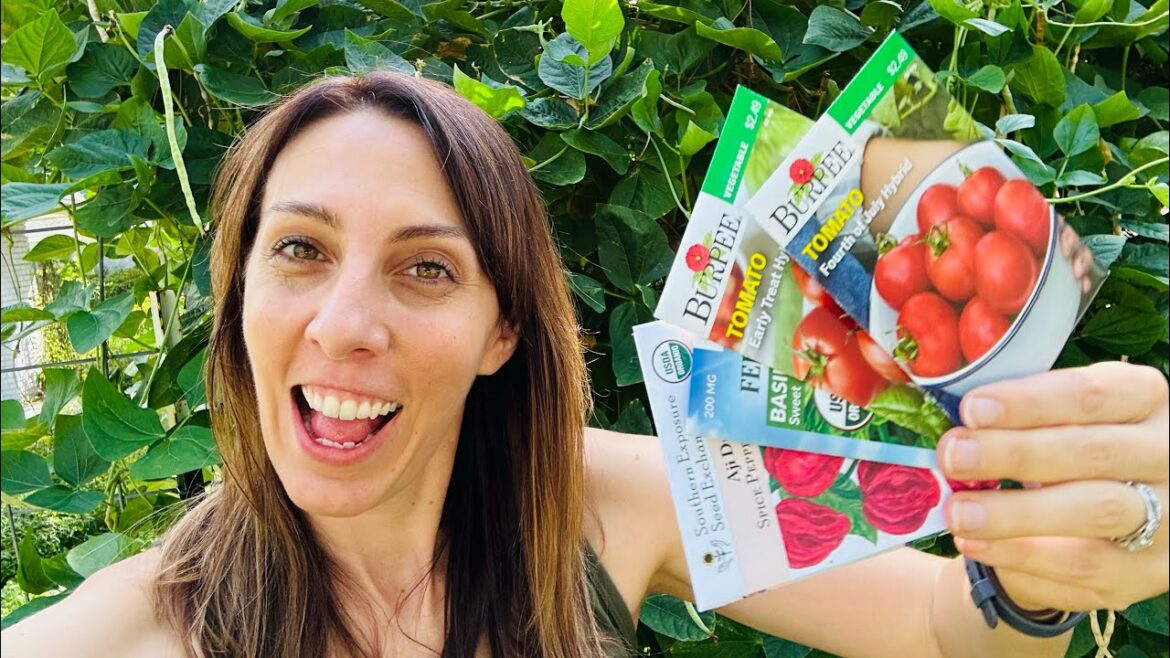 August Vegetables: What to plant in your Florida Vegetable Garden month by month