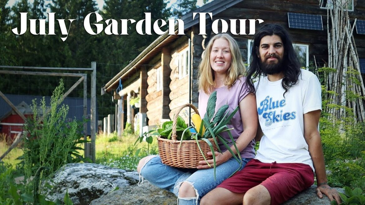 From Overgrown Nettle Field to Abundant Vegetable Garden From Overgrown Nettle Field to Abundant Vegetable Garden