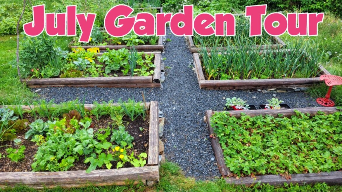 Raised Bed Vegetable Garden Tour July