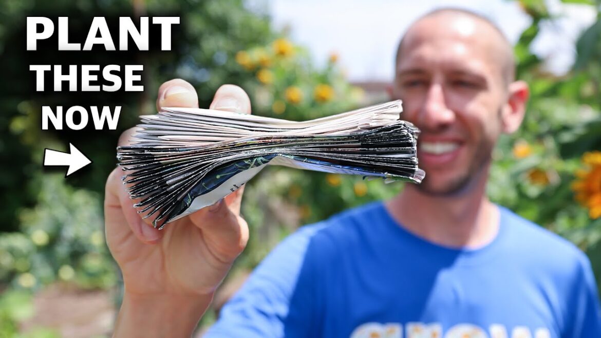 25 Crops You Can Plant In August! 25 Crops You Can Plant In August!