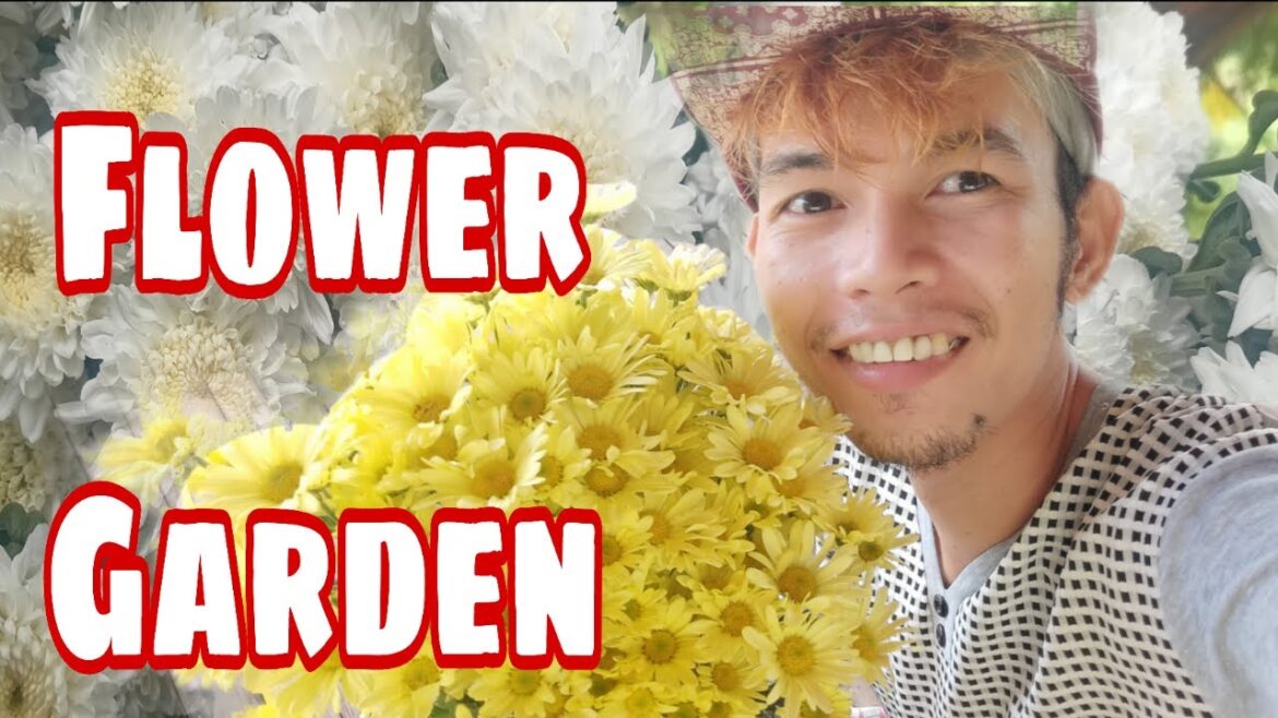 little flower & vegetable garden white heaven cafe.