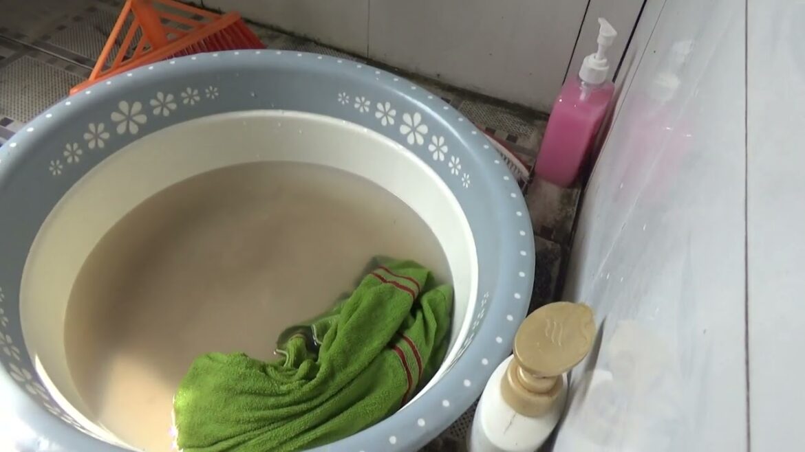 Highland Greenery: The Secrets of Successful Vegetable Gardening