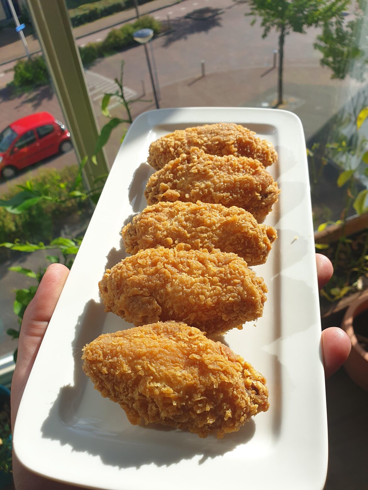 making 1 kilo of these chicken wings under 8 €