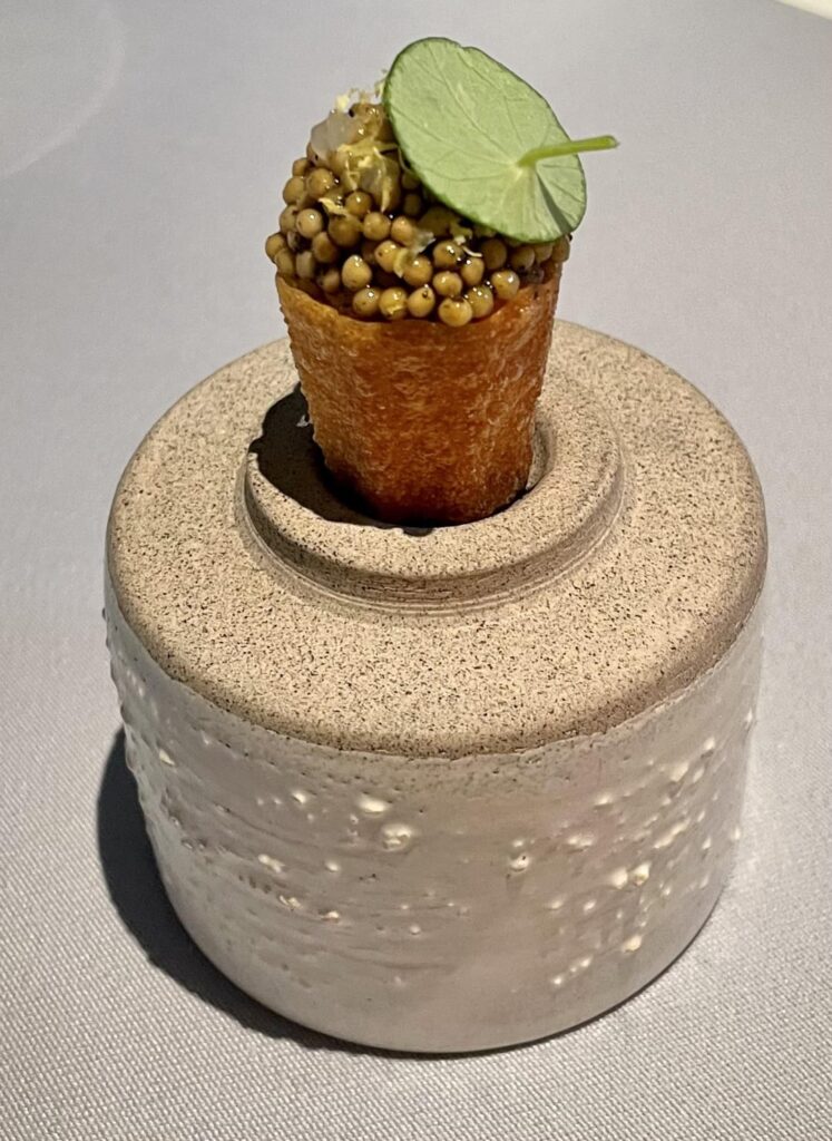 Went for the vegetarian tasting menu at Babel in Budapest - First Michelin star restaurant experience for us