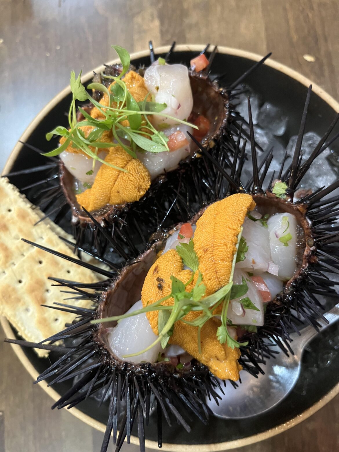Holbox, sea urchin and scallops ceviche