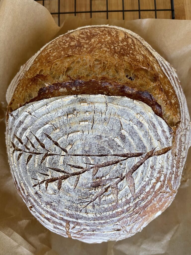 With little adjustments here and there, I really feel like I’m getting this hobby down.