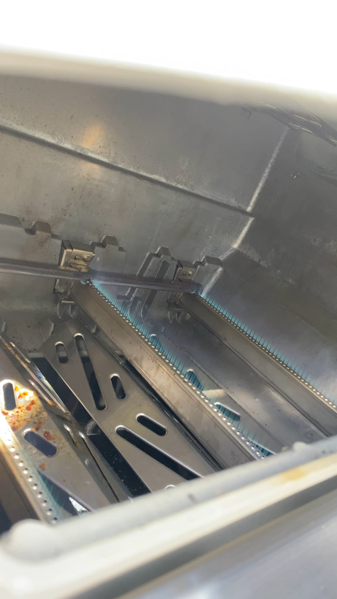 Weber Genesis 2 burner